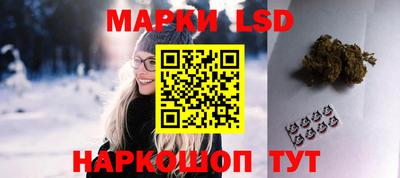 твердый Будённовск