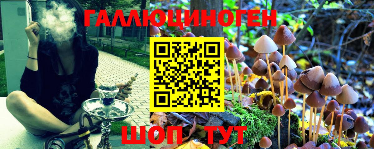 Псилоцибиновые грибы Cubensis  Вход с VPN  Щёкино  где найти наркотики  Псилоцибиновые грибы Psilocybine cubensis 