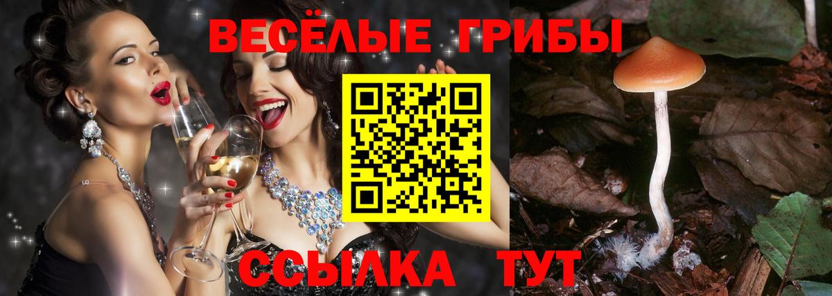 Галлюциногенные грибы Magic Shrooms Щёкино