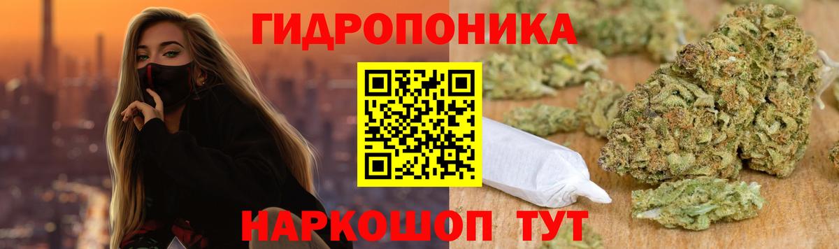 Бошки марихуана план  Вход с VPN  Бошки Шишки Ganja  Щёкино  Конопля марихуана 